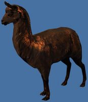 Mini Bronze Llama.jpg