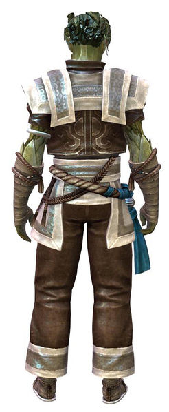 File:Monk's Outfit sylvari male back.jpg