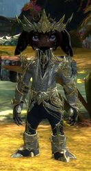 Obsidian armor (light) asura female front.jpg