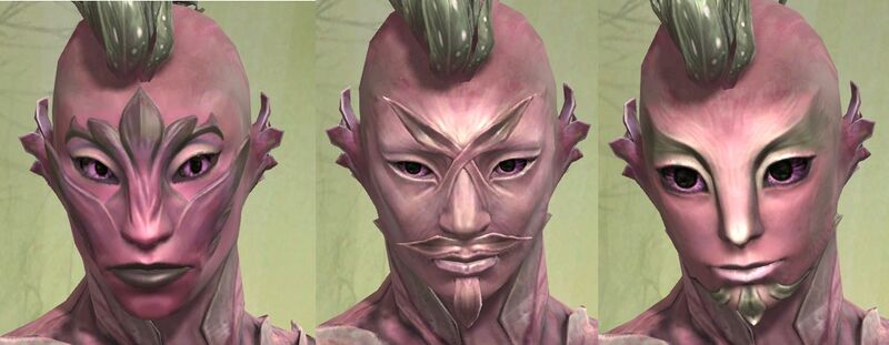 File:Sylvari male faces 2.jpg