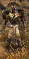 Veteran Mordant Crescent Representative.jpg