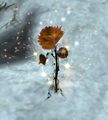 Thumbnail for version as of 18:22, 4 December 2016