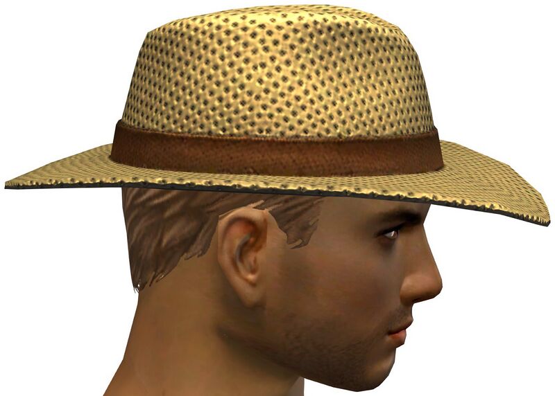 File:Beach Hat male side.jpg
