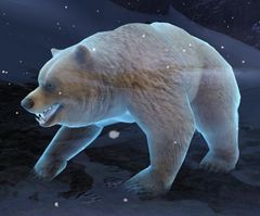 Bear Spirit.jpg