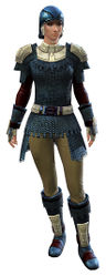 Chain armor norn female front.jpg