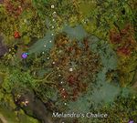 Chasing Waterfalls 1.jpg