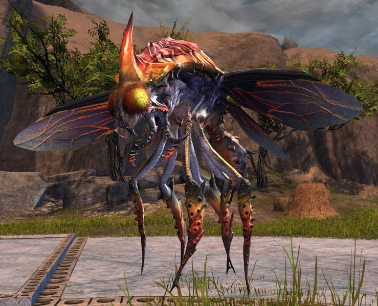 File:Fly.jpg