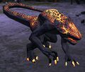 Graveling Howler.jpg