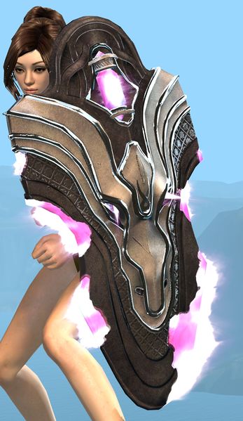 File:Heroic Dragonsblood Shield wielded.jpg