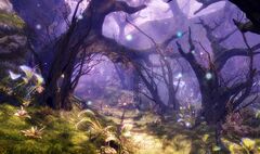 Melandru's Lost Domain.jpg