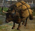 Priory's Caravan (Bull)