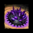 Place Dragonsblood Shrapnel Mine.png