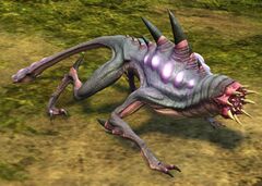 Pocket Archomorph.jpg