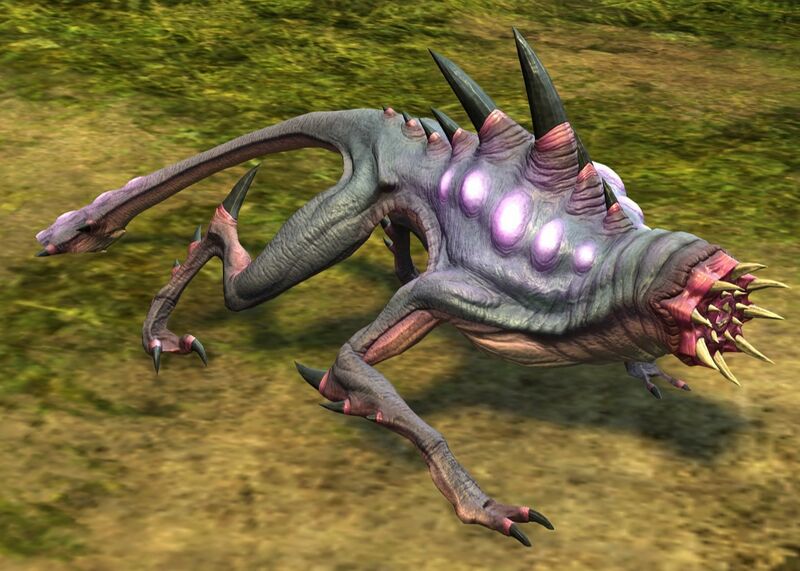 File:Pocket Archomorph.jpg