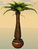 Potted Fern Tree side.jpg