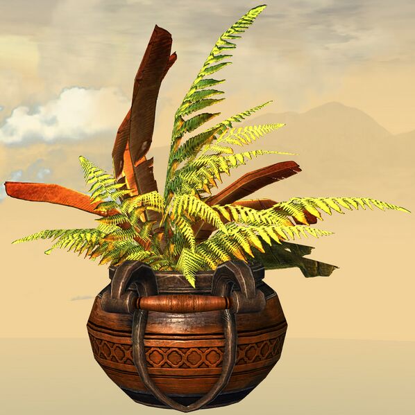 File:Potted Gold Fern side.jpg