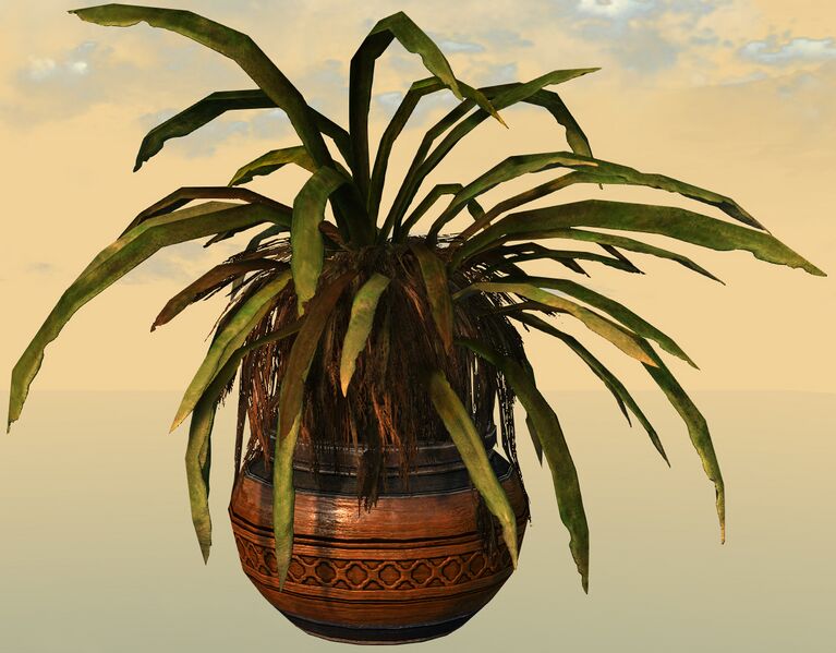 File:Potted Junglerice side.jpg