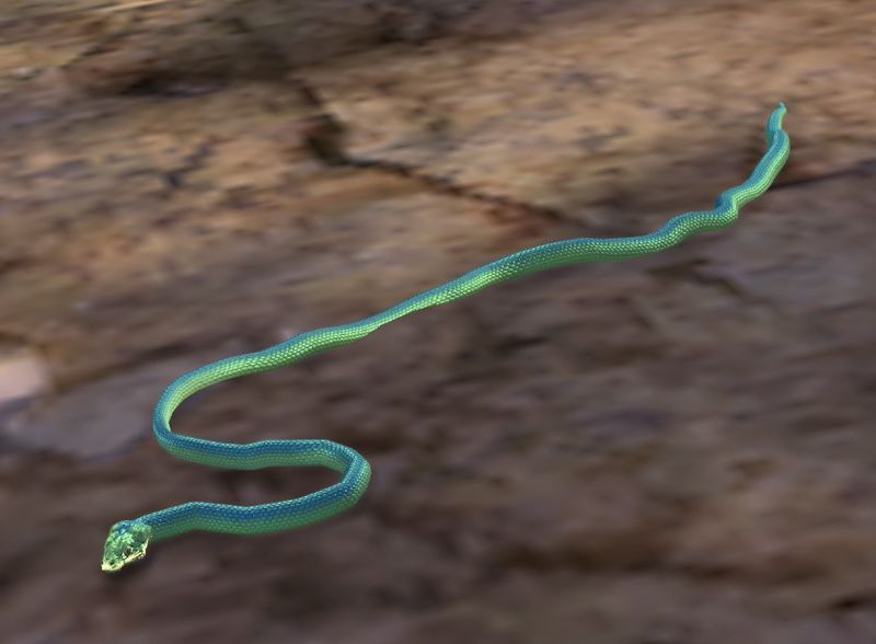 File:Snake (Ambient creature).jpg