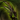 Zhaitan's Gaze.png